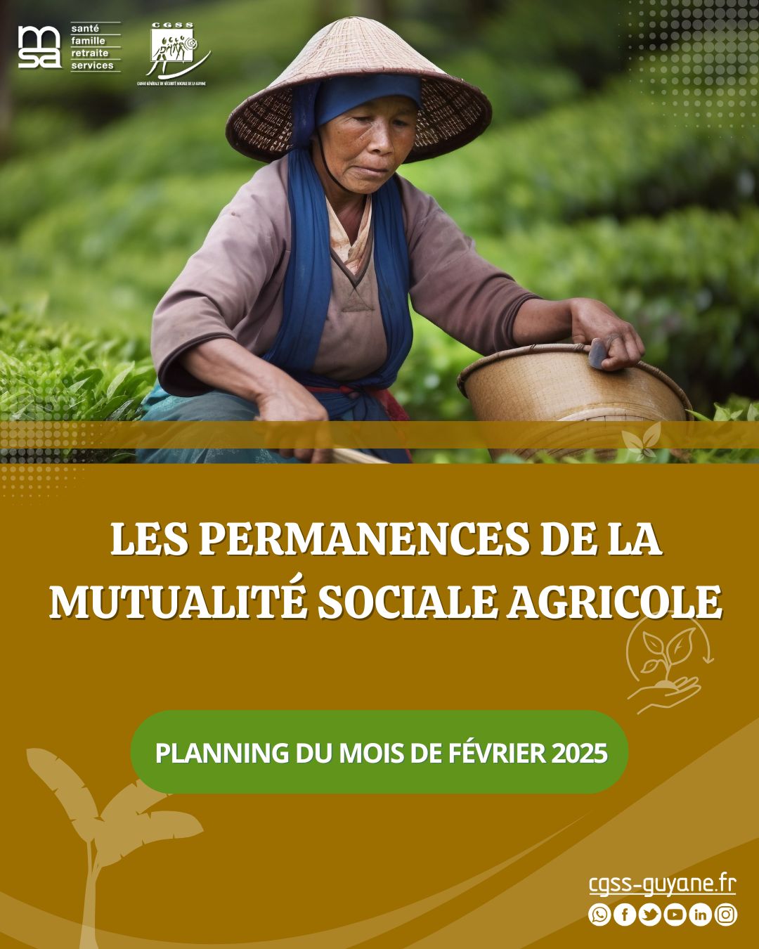 Permanences MSA