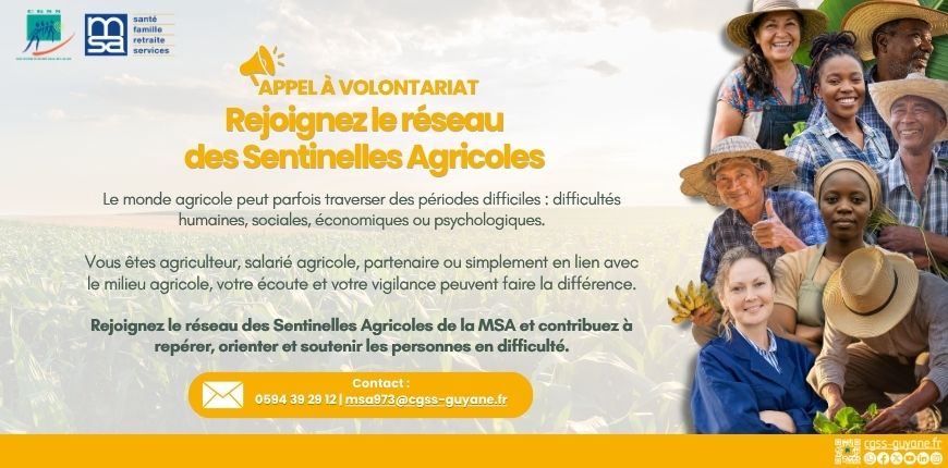 Appel a volontariat MSA (intranet